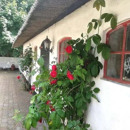 Хостел Gemuetliches Reetdachhaus Mit Kaminofen Рібе Екстер'єр фото