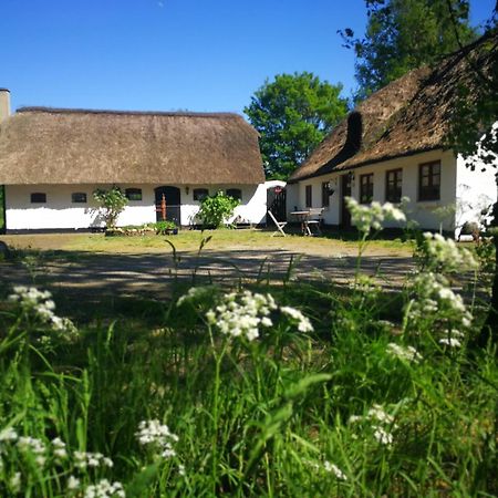 Хостел Gemuetliches Reetdachhaus Mit Kaminofen Рібе Екстер'єр фото