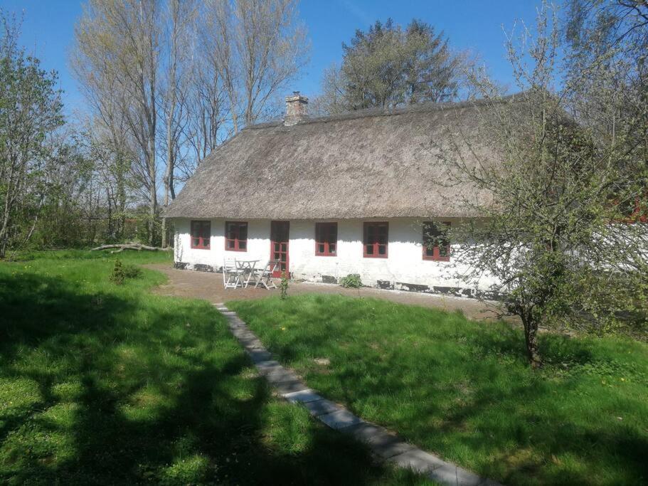 Хостел Gemuetliches Reetdachhaus Mit Kaminofen Рібе Екстер'єр фото
