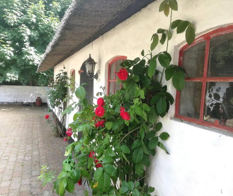 Хостел Gemuetliches Reetdachhaus Mit Kaminofen Рібе Екстер'єр фото