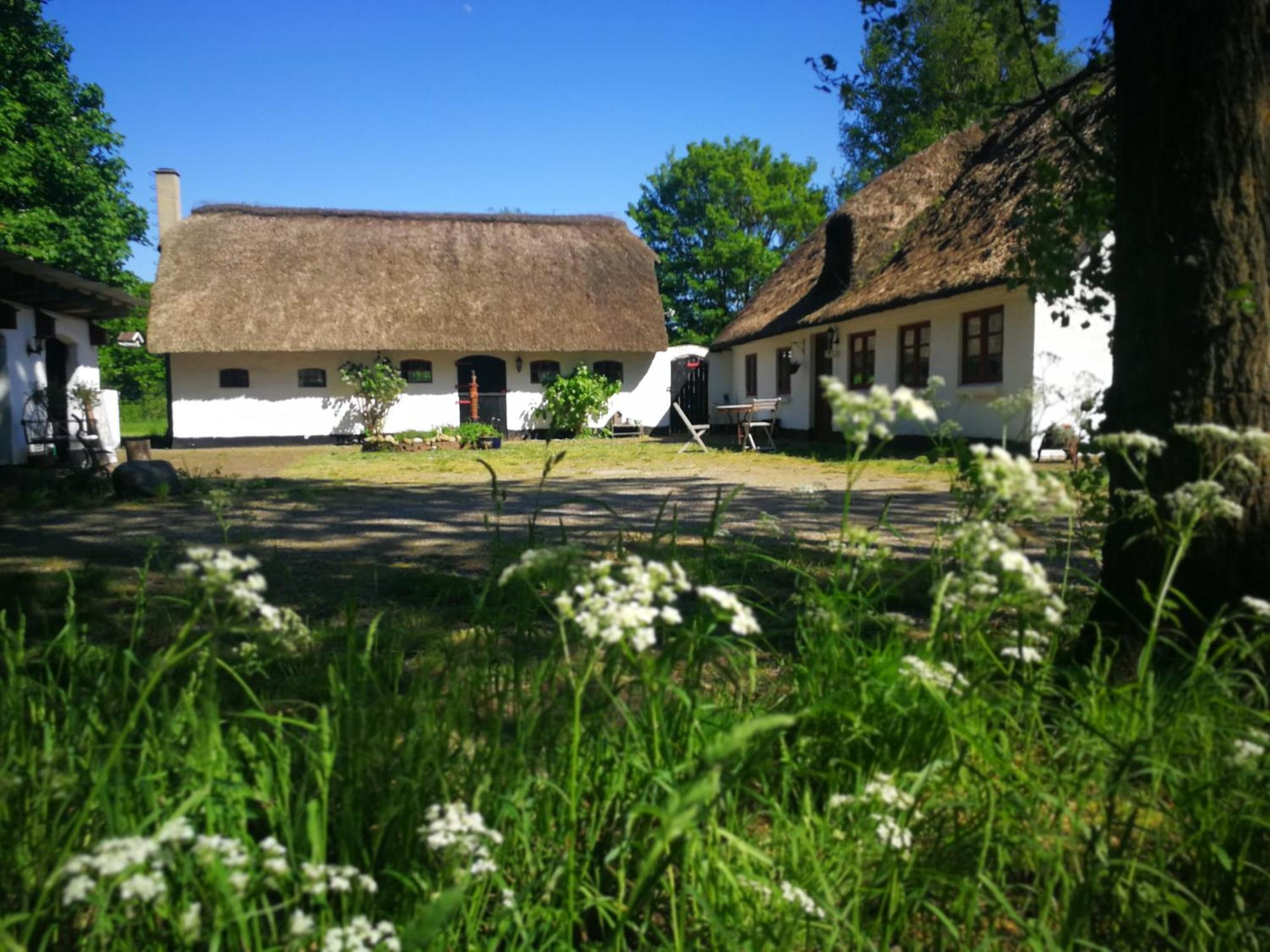 Хостел Gemuetliches Reetdachhaus Mit Kaminofen Рібе Екстер'єр фото